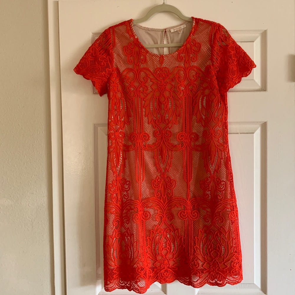 NWT Skies Are Blue Orange shift dress. Never worn.